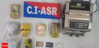 Pakistan-linked drug smuggling network busted in Punjab, 5 kg heroin seized | India News