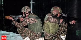 Pakistan violates ceasefire for ninth consecutive day, Indian Army gives prompt response | India News