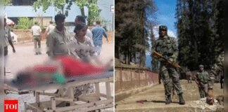 Morning news wrap: 6 killed in Goa temple stampede, Pakistan violates LoC ceasefire for 9th day, and more | India News