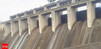 Punjab skips meet to discuss Haryana water share | India News