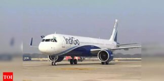 Drunk passenger detained for molesting air hostess on Shirdi-bound Indigo flight