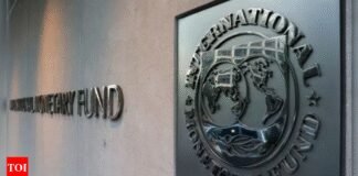 Parameswaran Iyer named temporary nominee to IMF board ahead of meet to decide on $1.3bn Pakistan aid