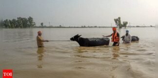 Special session of Punjab House today to discuss water release to Haryana | India News