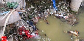 Deadline looming, MCD met just 21% of desilting target by end of April | India News