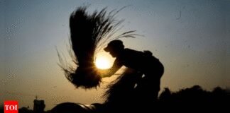 ICAR: World’s first genome-edited rice varieties to boost yields 30%