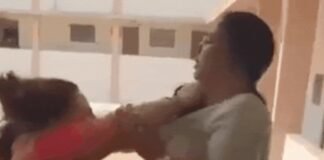 Slaps, screams, and smashed phones: MP school principal, librarian clash on camera | India News