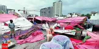 17 killed in rain-related mishaps across Gujarat, several injured | India News