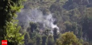 Seven dead, 38 injured as Pakistan Army targets civilian areas along LoC in J&K | India News