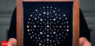 After India’s intervention, Sotheby’s puts off relics auction