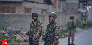 Hostility level still low, Pakistan may not hit N-button yet: Experts | India News