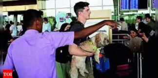 No chaos at major airports as other ground handlers step in | India News