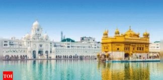 No air defence guns or resources deployed inside Golden Temple: Army | India News