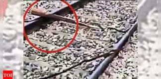 Alert loco pilots foil bid to derail Rajdhani, Kathgodam Express trains | India News