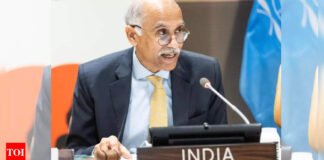 India tells UN Security Council maritime security, counterterrorism key to its national interests | India News