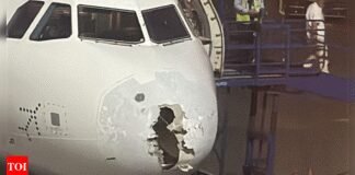 IndiGo Delhi-Srinagar flight encounters turbulence in bad weather; lands safely | India News