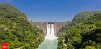 Punjab-Haryana water dispute: Centre decides to post CISF at Bhakra dam | India News