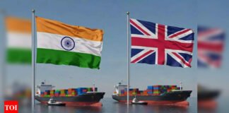 India, EU may finalise interim FTA by July | India News