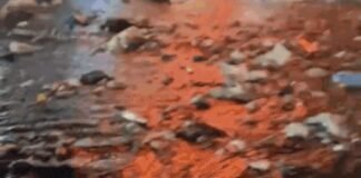 Floating garbage: Rain reduces Mumbai to sea of trash – watch viral video | India News