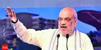 BSF smashed Pak posts & systems, will take years to rebuild: Shah | India News