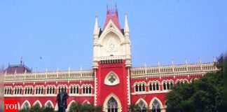 High Court: Denial of childcare leave violation of law | India News