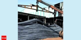 Government mulls doubling safeguard duty on steel from 12% to 24% | India News