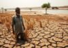 Pakistan crop-sowing in crisis as dams run low, India tightens Chenab flow | India News
