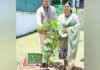 Uttarakhand CM Dhami plants Sita Ashoka sapling under ‘Ek Ped Maa Ke Naam’ campaign at his CMO residence | India News