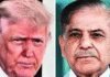 India-Pak standoff: Shehbaz wants Trump to arrange talks with India | India News
