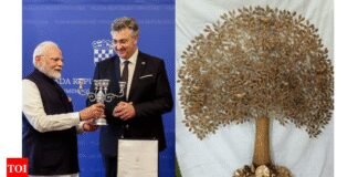 From Brass Bodhi Tree to Warli art: What PM Modi gifted to world leaders during his 3-nation tour; see pics | India News