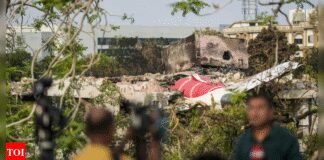 Air India plane crash: Bird-attracting sites near airports must be closed, demands animal rights group while flagging past data of Delhi, Mumbai and Ahmedabad | India News