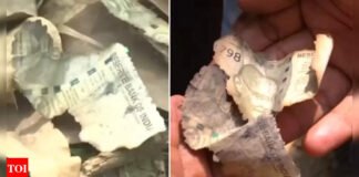 Liquor fuelled fire at judge’s house that burnt cash: Report | India News