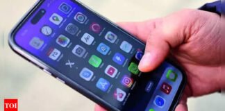 Privacy is a fundamental right but is subject to reasonable curbs: High Court | India News