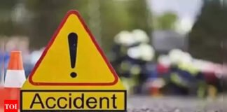 SUV collides with truck, 2 brothers among 9 killed | India News