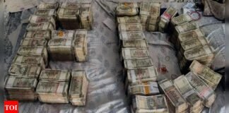 ED raids Himachal Pradesh assistance drug controller for bribery, extortion | India News