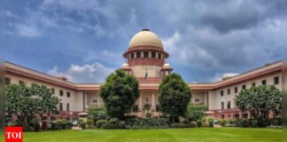 Is single OBC mother’s child entitled to OBC tag? SC lens on paternal link | India News