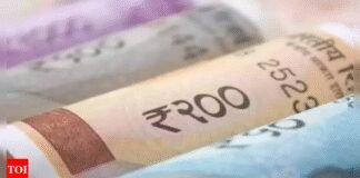 1st-of-its-kind household income survey next year | India News