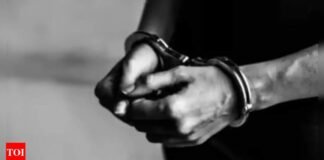 Meitei outfit ‘commander’ held for murder | India News