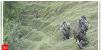 Operation Bihali: 1 Jaish terrorist killed in J&K’s Udhampur, 3 others trapped | India News