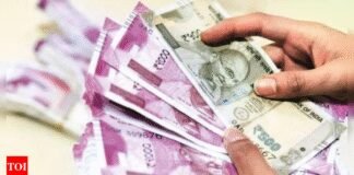 ‘Won trust with marriage promise’: Australian PIO held for duping Pune woman of Rs 3.6cr; may have conned many | India News