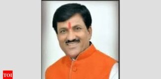 ‘Wearing clothes given by our govt & still targeting us’: Maharashtra BJP MLA stirs row | India News