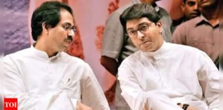 ‘United march against Hindi imposition’: Language row to unite Thackeray brothers? What Sanjay Raut said | India News