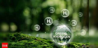 New type of number plates in offing for hydrogen vehicles | India News