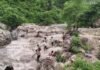 Viral video: 6 women slip near edge of Bihar waterfall, rescued in nick of time | India News