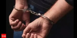 POK man arrested in J&K identified as terrorist guide | India News