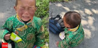 Watch: Tantrums of Arunachal school boy wins internet – teacher captures ‘the struggle’ | India News