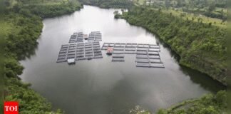 Flood alert sounded in Jharkhand’s Ramgarh as rivers are in spate | India News