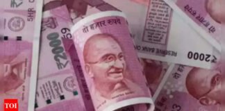 Insurance scam: Officials from 50 firms, finance ministry meet in Sambhal to plug gaps leading to frauds | India News