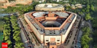 BJP MPs walk out of Parliament panel meeting over Medha Patkar’s proposed testimony | India News