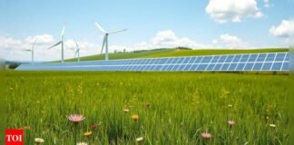 Indian scientists develop new material to supercharge green energy storage | India News