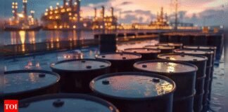 In talks with senator seeking to tariff Russia oil buyers: Govt | India News